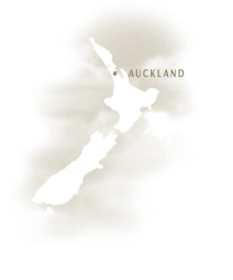 Auckland wine region