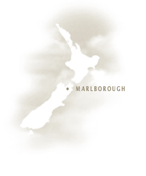 Marlborough wine region