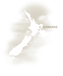 Gisborne wine region